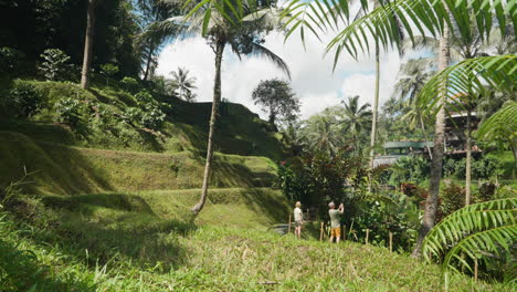 Turistas-Tomando-Fotos-De-La-Naturaleza-Tropical-En-Terrazas-En-El-Parque-Turístico-Alas-Harum-Bali,-Ubud,-Indonesia