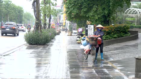 Bicycle-business-fruit-sales,-local-city-transportation,-downtown-travel