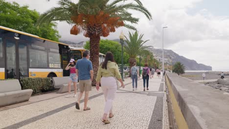 Tourist-buses-parked-near-sidewalk-and-palm-tree,-people-enjoy-Funchal-city