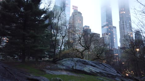 Aufnahme-Mit-Den-Bäumen-Des-Central-Parks-Im-Vordergrund-Und-Den-Gebäuden-Der-59.-Avenue-Im-Nebel-Im-Hintergrund-In-New-York-City