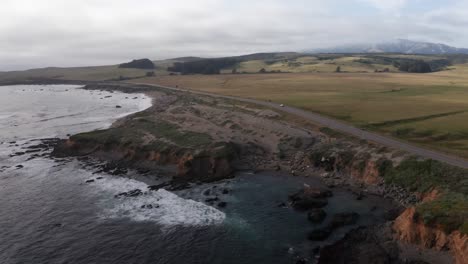 Wide-aerial-panning-shot-of-the-Northern-Elephant-Seal-Rookery-in-San-Simeon,-California