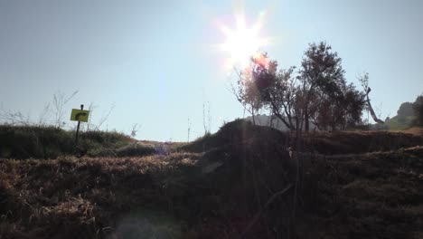 Backlighting-of-a-trail-runner-on-a-trail