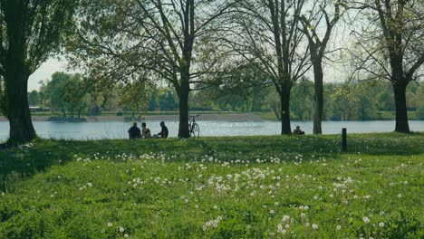 People-relaxing-under-trees-by-Jarun-Lake-in-Zagreb,-with-a-grassy-field-and-dandelions