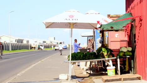 Hawker-at-informal-township-settlement-selling-vegetables-on-street,-Zwelihle