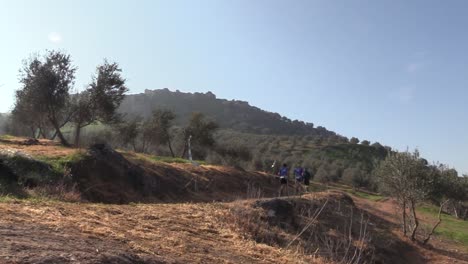 Trail-runners-race-through-olive-groves,-embodying-outdoor-adventure-and-fitness