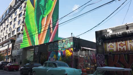 Vintage-cars-parked-in-front-of-colorful-graffiti-walls-in-Miami's-Wynwood-district