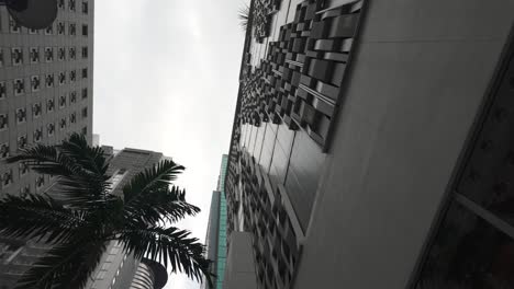 Looking-up-at-modern-buildings-and-palm-trees-in-downtown-Miami-under-an-overcast-sky