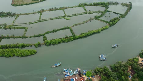 Viele-Büsche-Sind-Vom-Wasser-Aus-Sichtbar,-Das-Unter-Wasser-Liegt