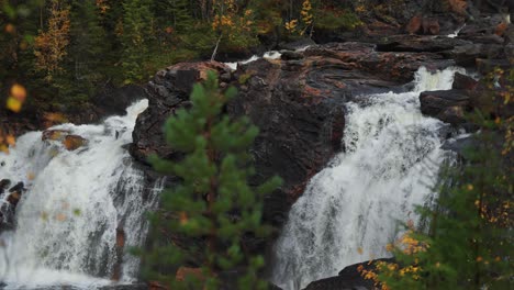 Verborgen-Im-Herbstwald-Stürzt-Ein-Ruhiger-Wasserfall-über-Dunkle-Felsen,-Kiefern-Und-Birken-Säumen-Die-Ufer-Und-Vermitteln-Ein-Bild-Natürlicher-Gelassenheit