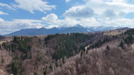 Un-Bosque-Exuberante-Y-Montañas-Cubiertas-De-Nieve-Bajo-Un-Cielo-Azul-Brillante,-Vista-Aérea