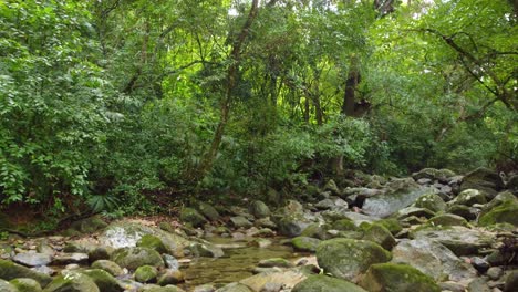 Drone-journey-over-river-deep-within-the-Colombian-humid-rainforest