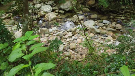 Jib-Shot-Descending-Into-Minature-Creek-in-the-Heart-of-Columbia