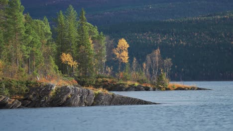 An-autumn-forest-covers-the-rocky-shores-of-the-wide-lake