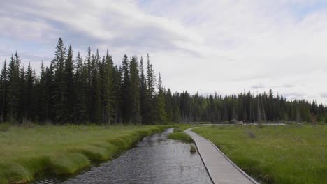 The-Beaver-Boardwalk-is-a-unique,-wooden-pathway-that-winds-through-wetlands-and-fully-functioning-beaver-pond-in-Hinton,-Alberta-with-seating-areas,-interpretive-signs-and-two-observation-towers