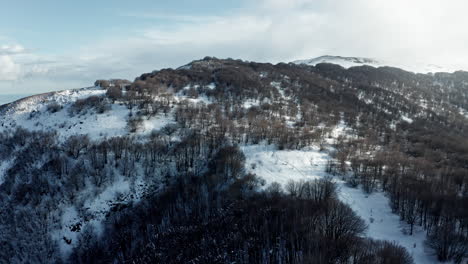 Snow-covered-mountain-forest-with-scattered-leafless-trees-under-a-cloudy-sky