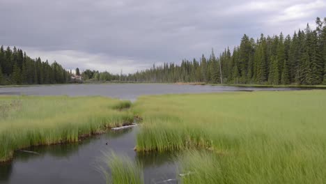 The-Beaver-Boardwalk-is-a-unique,-wooden-pathway-that-winds-through-wetlands-and-fully-functioning-beaver-pond-in-Hinton,-Alberta-with-seating-areas,-interpretive-signs-and-two-observation-towers