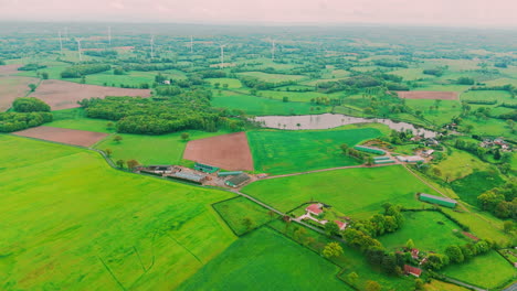 Granja-De-Ovejas-Desde-El-Cielo