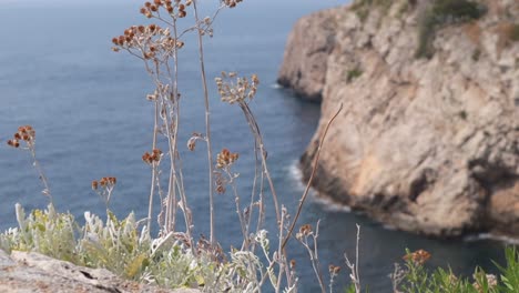 Panoramic-view-of-Dubrovnik,-Croatia-water-sea