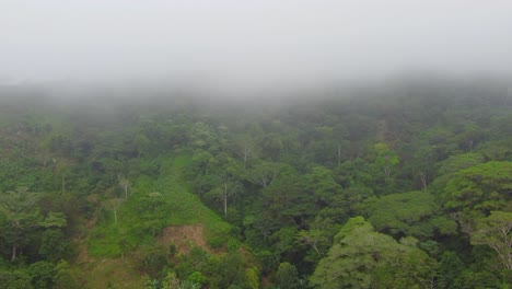 Aerial-high-view-of-the-jungle-in-a-foggy-day