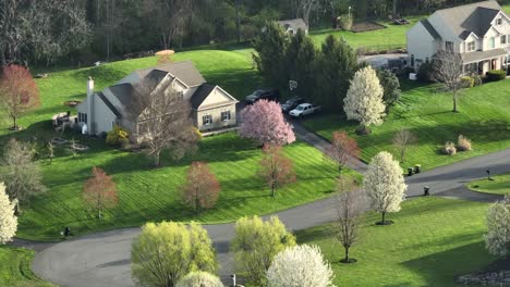 Luxury-villas-in-idyllic-upper-class-neighborhood-of-american-town-Golden-hour-with-green-garden-and-colsorful-trees-in-spring