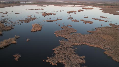 Comana-lake-showcasing-marshy-islands-and-calm-waters-at-sunset,-aerial-view