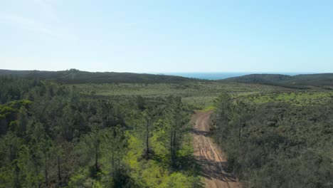 Drone-flying-back-over-a-dirt-trail-in-south-of-Portugal