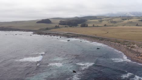 Aerial-wide-reverse-pullback-shot-of-northern-elephant-seals-along-the-beach-in-San-Simeon,-California