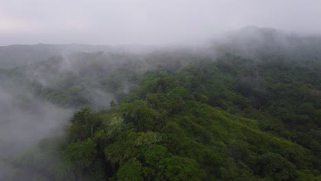 Misty-Mountainous-Tropical-Rainforest-at-Minca,-Colombia,-Aerial