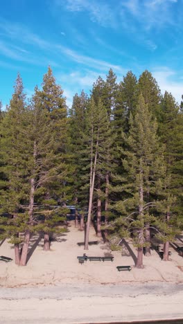 Vertical-Aerial-View-of-Beach-and-Forest-on-Lake-Tahoe-Lakefront-on-Sunny-WInter-Day-USA