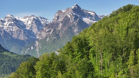 A-breathtaking-view-of-the-snow-capped-peaks-of-the-Swiss-Alps,-framed-by-lush-green-forest