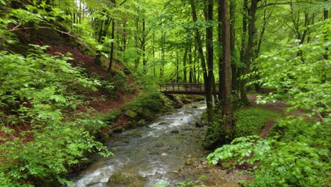 Freshwater-River-Flowing-On-The-Nature-Preserve-Of-Bistriski-Vintgar-in-Zgornja-Bistrica,-Slovenia