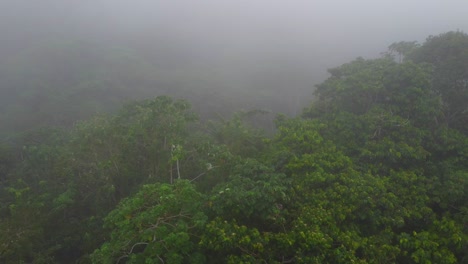 Bird's-eye-view-of-cloud-forest-in-Colombia,-shrouded-in-veil-of-clouds