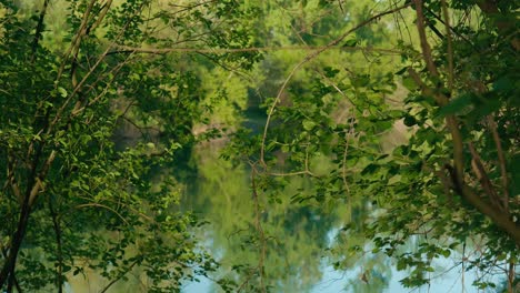 Lush-greenery-surrounding-Jarun-Lake-in-Zagreb,-Croatia,-with-clear-water-reflections