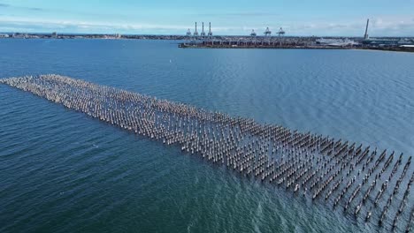 Luftaufnahme-Der-Historischen-Pylonen-Im-Hafen-Von-Melbourne-Mit-Dem-Containerterminal-Dahinter