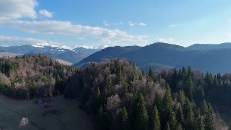 Lush-forested-hills-and-the-majestic-bucegi-mountains-on-a-sunny-day,-aerial-view