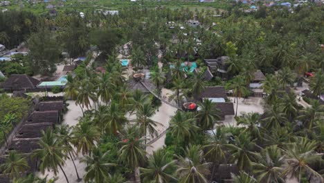 Aerial-view-of-The-Nest-Zanzibar-Resort-in-Paje-with-palm-trees-in-summer