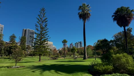 Amplia-Vista-De-Los-Jardines-De-Queens,-Perth:-Zonas-Verdes-De-La-Ciudad,-Palmeras-Y-Césped-Verde.