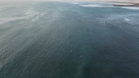 High-aerial-view-over-Cactus-Beach-with-it's-surfers-on-the-water-in-South-Austalia