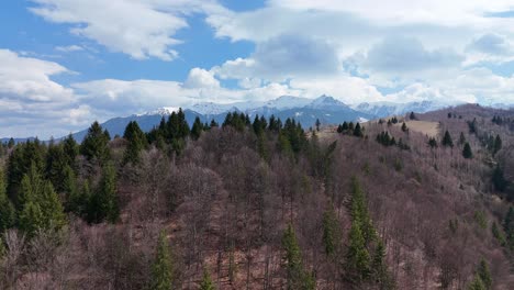 Bucegi-Mountains-landscape-with-snow-capped-peaks,-dense-forests,-and-blue-sky