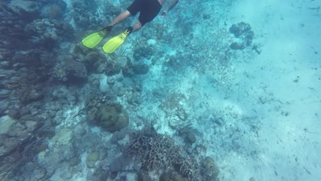 Man-doing-apnea-with-friends-underwater-caribbean-sea-emerging-to-surface,-Los-Roques