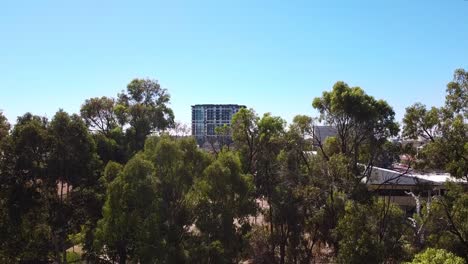 Vista-Aérea-Ascendente-Sobre-Las-Copas-De-Los-árboles-De-La-Ciudad-De-Joondalup-Y-El-Edificio-De-Apartamentos-Arthouse