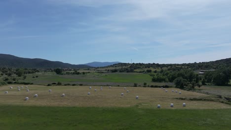 drone-flight-over-a-rural-area-with-green-meadows-separated-by-walls-and-in-one-of-them-the-grass-has-been-mowed-and-there-are-large-round-bales-of-straw-covered-with-white-plastic-in-Avila