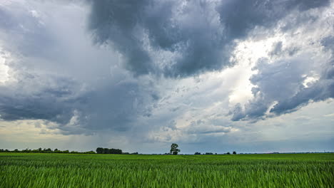 Dramatic-storm-clouds-are-moving-over-scenic-green-meadow-panorama,-time-lapse