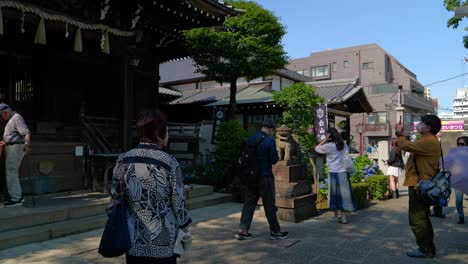 Gente-Explorando-Los-Terrenos-Del-Santuario-Hakusan-Durante-El-Festival-De-Hortensias