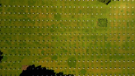 An-aerial-shot-of-neat-geometric-rows-of-white-crosses-marking-the-graves-of-fallen-American-allied-soldiers-who-died-during-the-Normandy-invasion-at-Omaha-Beach-on-D-Day,-1944