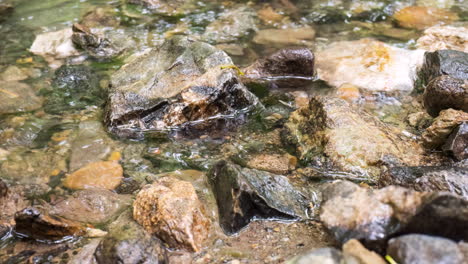 Plätscherndes-Wasser-In-Einem-Gebirgsbach,-Zeitraffer