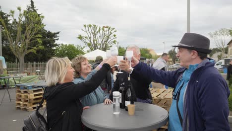 Slow-motion-shot-of-two-senior-couples-toasting-with-wine-glasses