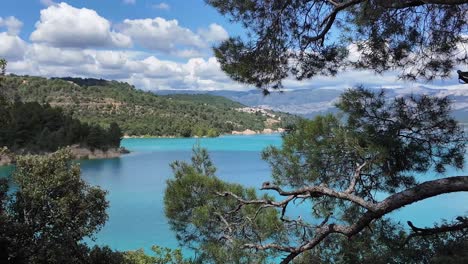 Pine-trees-and-water,-Sainte-Croix-du-Verdon-lake-and-national-park,-France