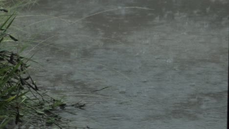 Starker-Regenfall-Auf-überfluteter-Einfahrt-Gewitter-Mit-Blitzschlag-Australien-Victoria-Gippsland-Maffra