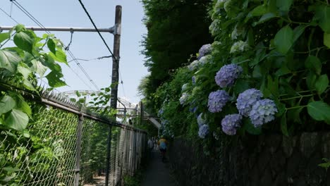 Slowly-walking-next-to-train-tracks-with-fence